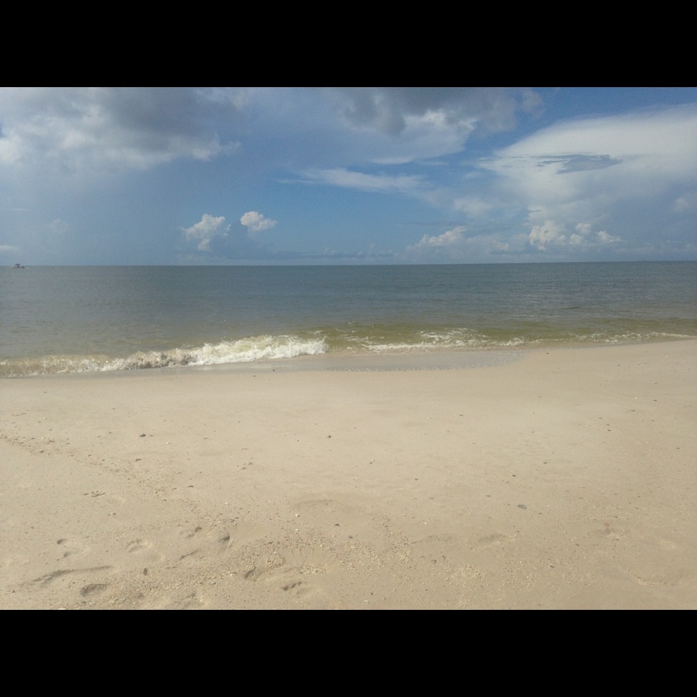 Meet your Posher, Margie